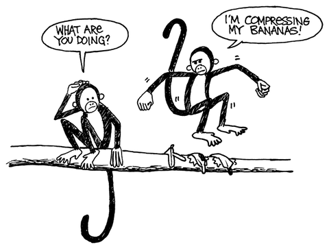 A cartoon of two monkeys on a branch. One asks, 'What are you doing?' The other, holding a peeled banana, answers, 'I'm compressing my bananas!'